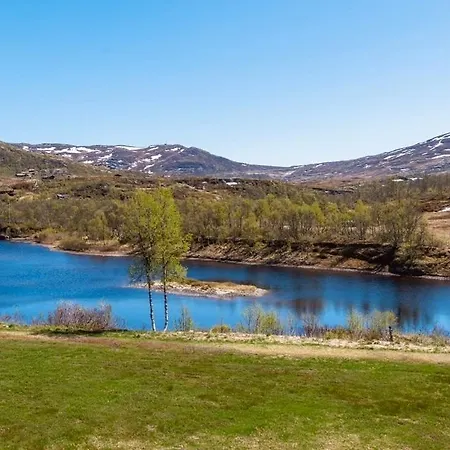 New! Mountain Close To Hardangervidda *